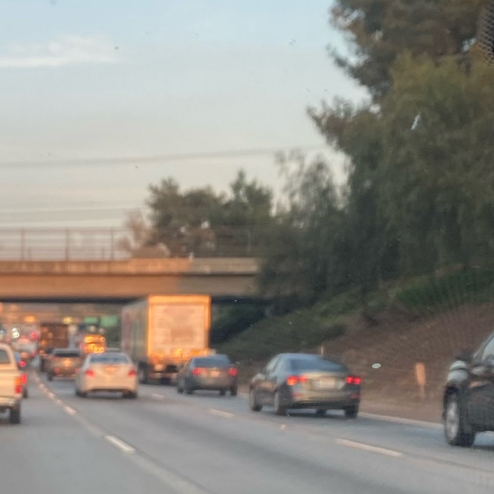 Meet your Posher, Isabella